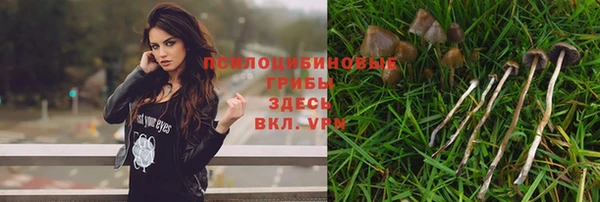 apvp Белоозёрский
