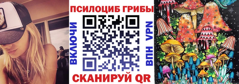 нарко площадка официальный сайт  Шатура  Псилоцибиновые грибы мухоморы 