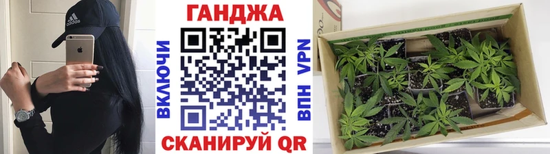 МАРИХУАНА гибрид  Шатура 